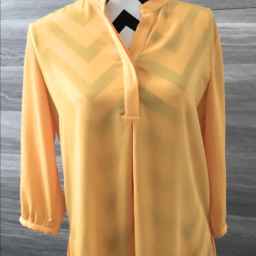 Peter Nygard Shirt